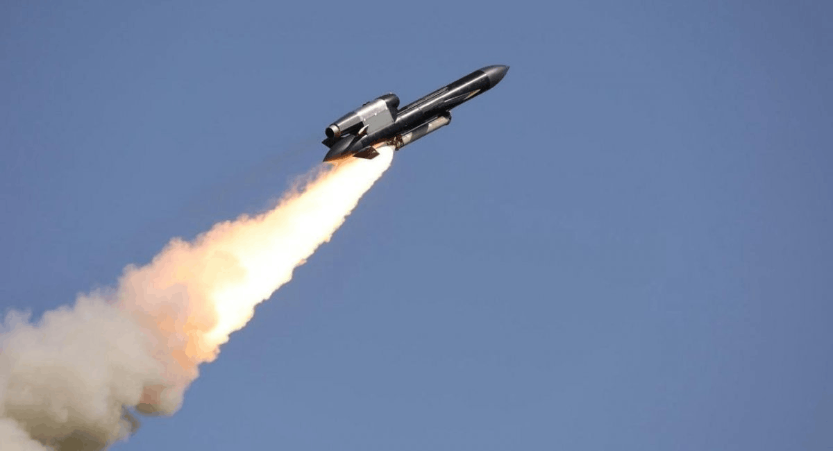 Flamingo rocket